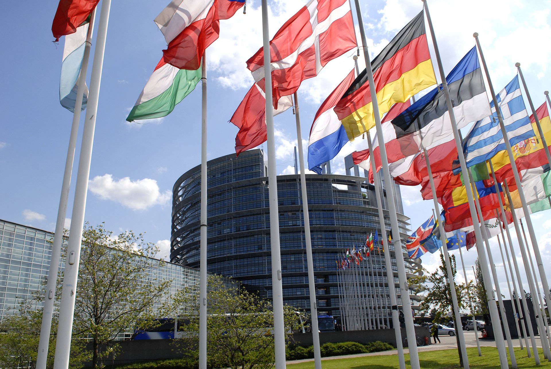 Europäisches Parlamentsgebäude im Hintergrund mit Flaggen der mitgliedsstaaten im Vordergrund vor blauem Himmel
