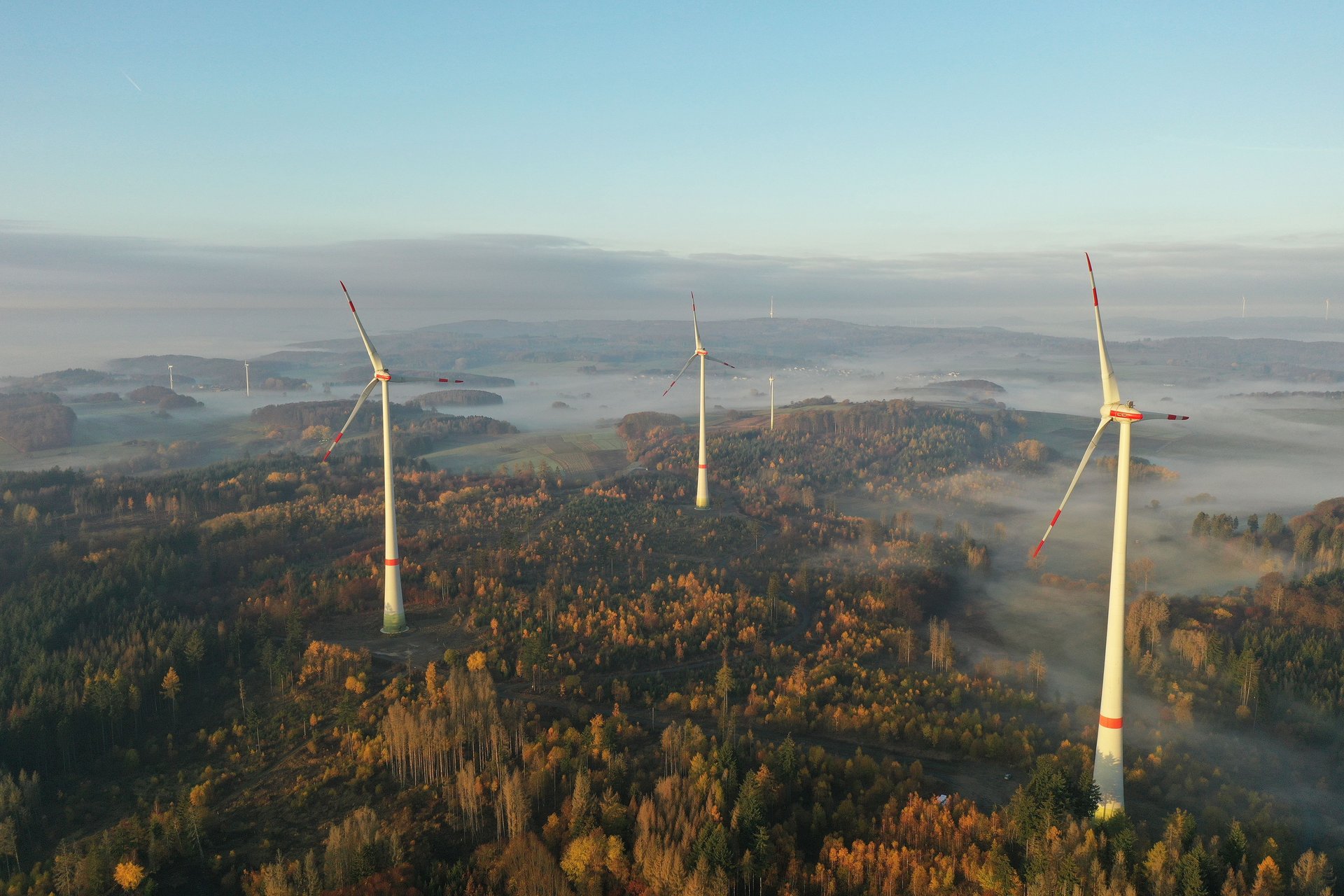 Vogelaufnahme Windräder in einem nebligen Wald