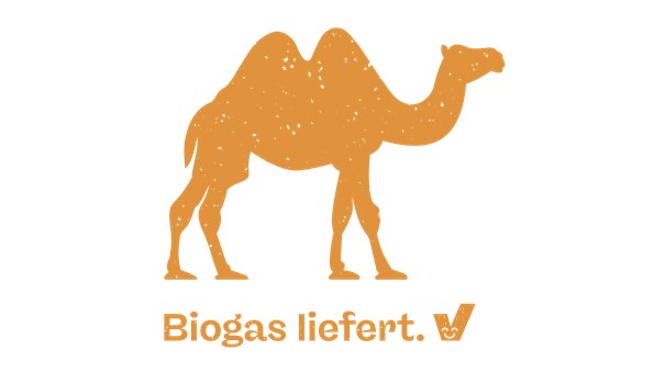 Bildbeschreibung: 