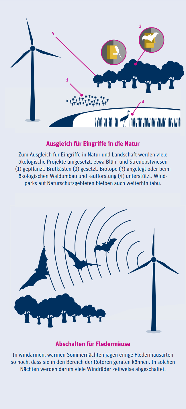 Einhaltung des Artenschutzes bei Winderengieprojekten. Quelle: BWE.