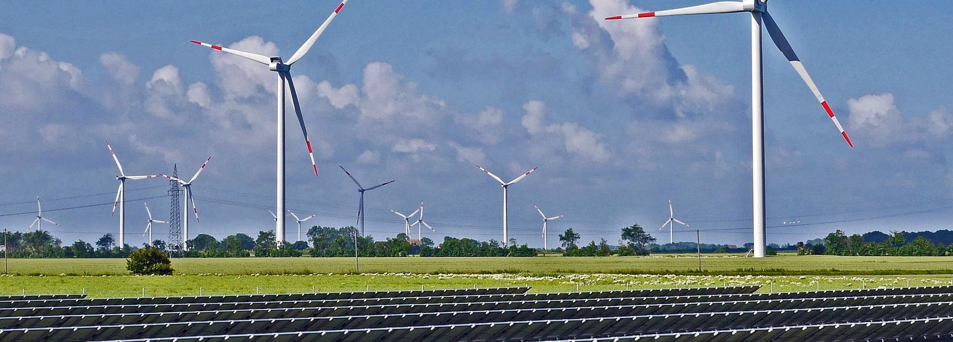 Solarkollektoren auf einer Wiese im Hintergrund Windräder