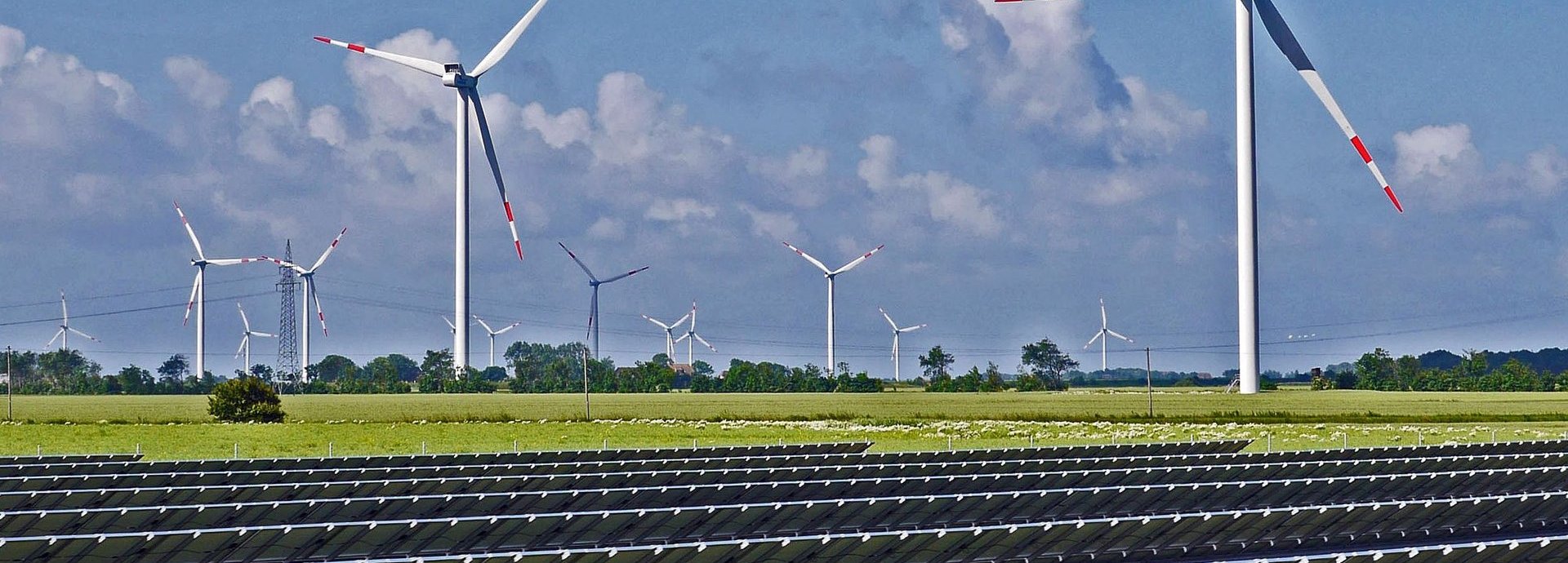 Solarkollektoren auf einer Wiese im Hintergrund Windräder