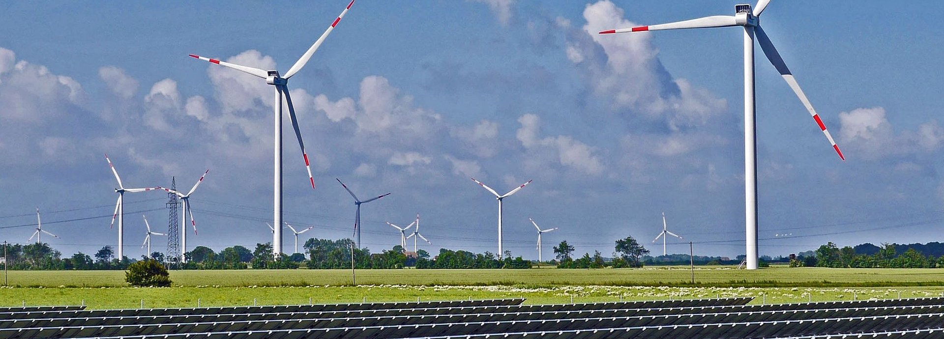 Solarkollektoren auf einer Wiese im Hintergrund Windräder