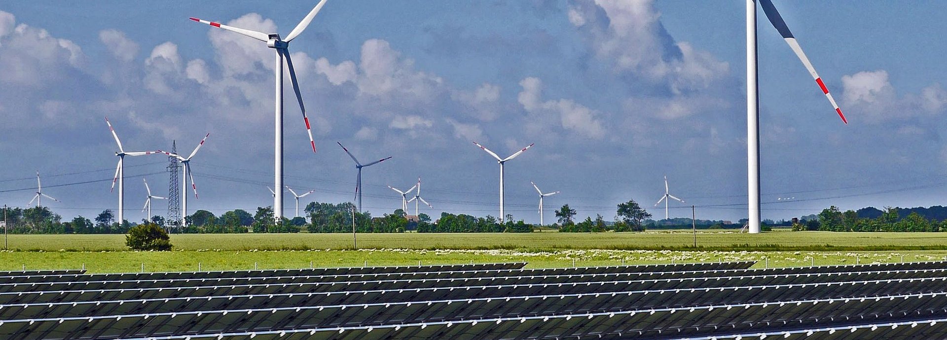 Solarkollektoren auf einer Wiese im Hintergrund Windräder