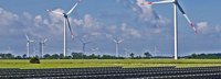 Solarkollektoren auf einer Wiese im Hintergrund Windräder