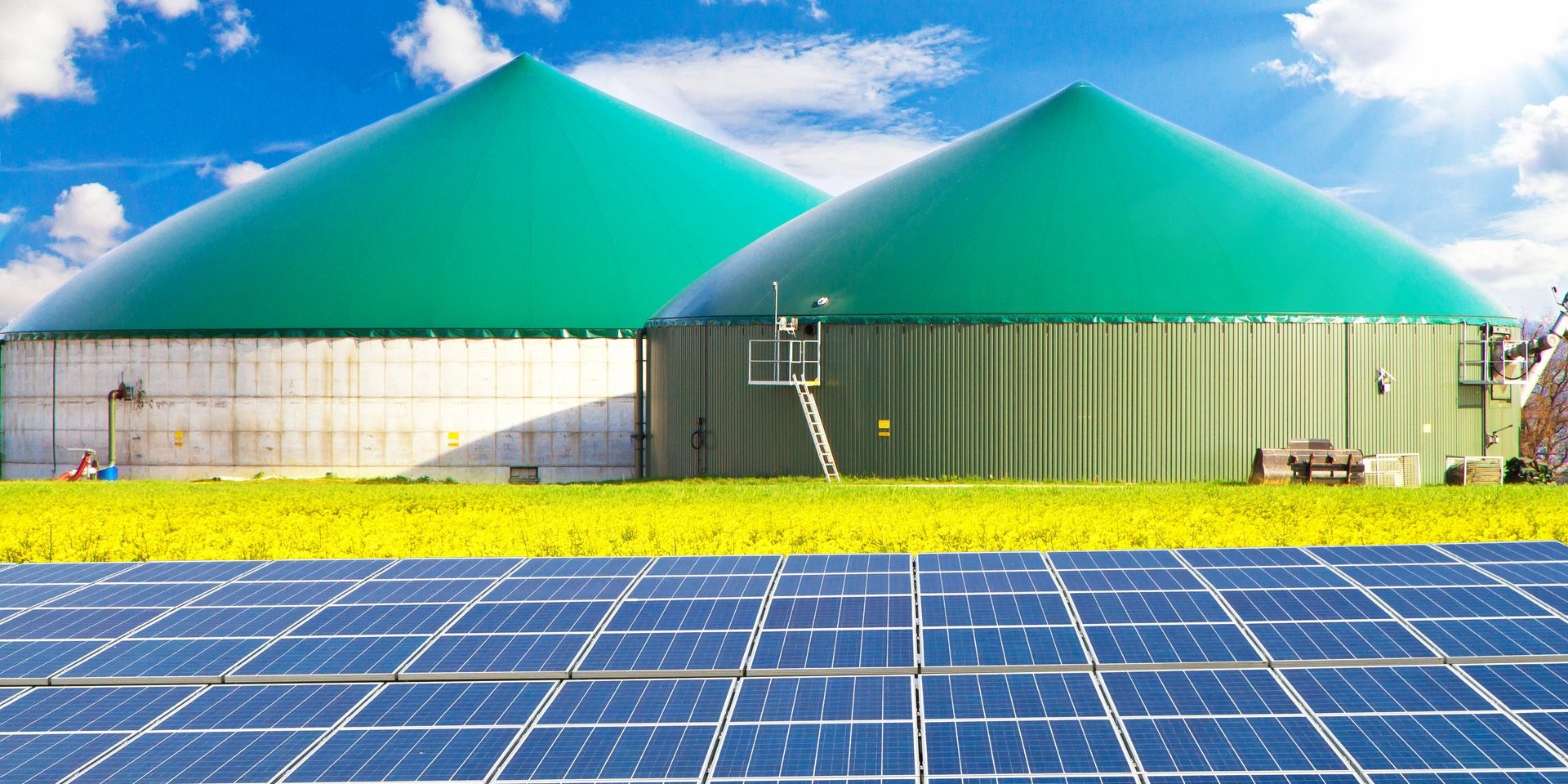 Zwei Biogasanlagen hinter einem Rapsfeld und Solarkollektoren