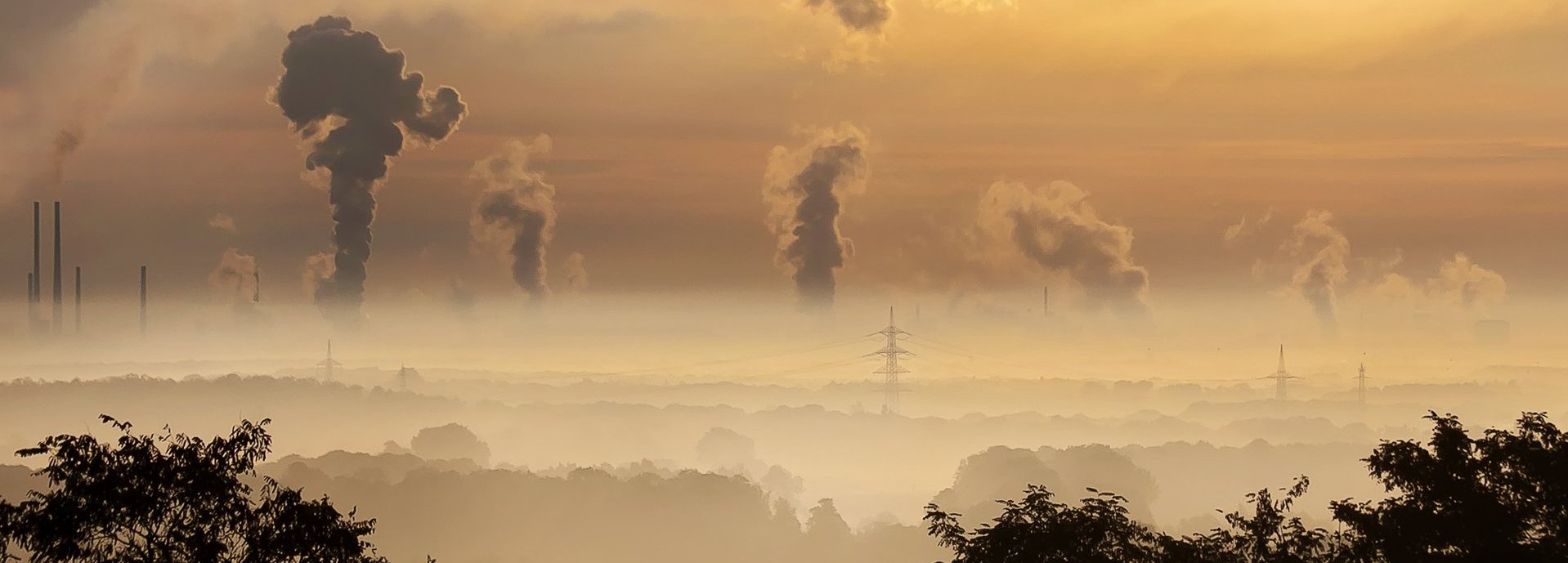 Mehrere Schornsteine stoßen Abgase aus und verqualmen die Umwelt. Im Vordergrund die Umrisse von Bäumen. Im Hintergrund Sonnenaufgang.