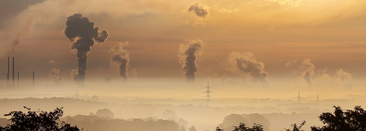 Mehrere Schornsteine stoßen Abgase aus und verqualmen die Umwelt. Im Vordergrund die Umrisse von Bäumen. Im Hintergrund Sonnenaufgang.