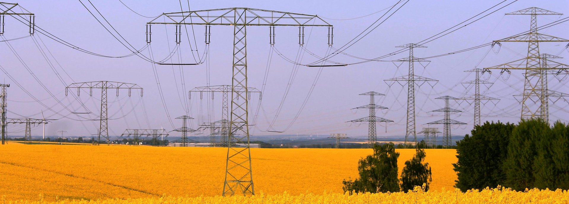 Strommasten auf einem gelben Feld vor blaurotem Himmel
