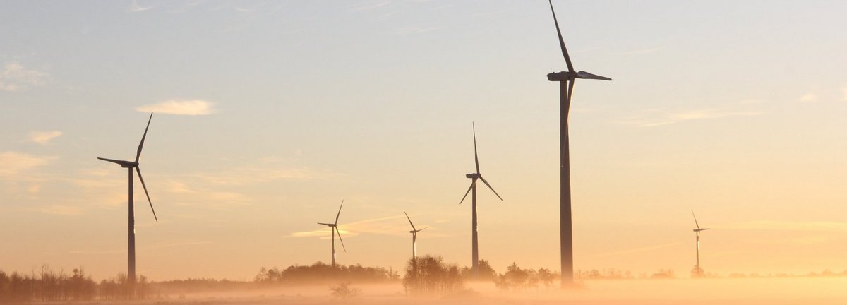 Windräder auf Feld in der Morgendämmerung