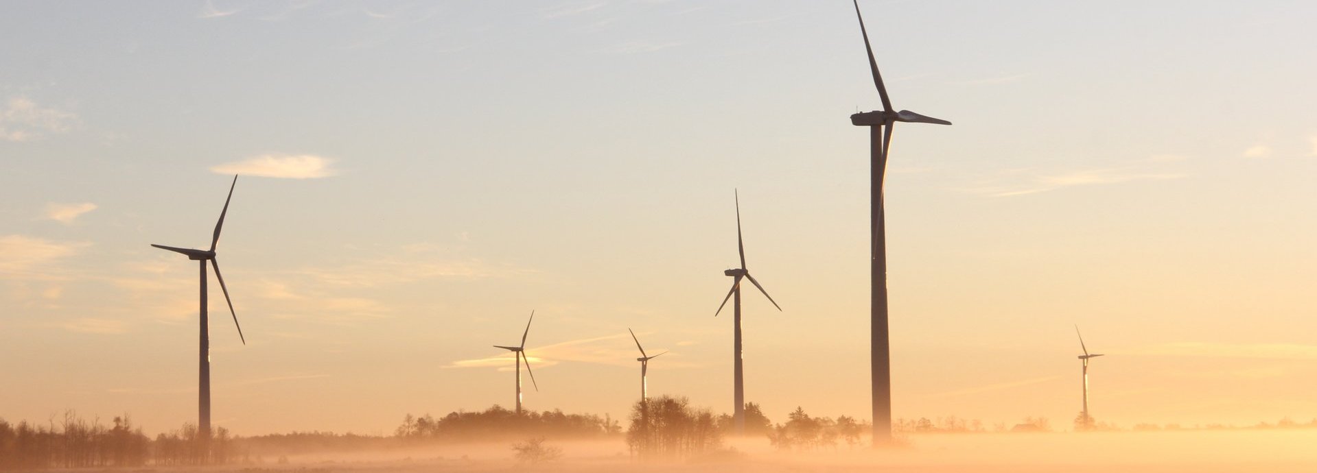 Windräder auf Feld in der Morgendämmerung