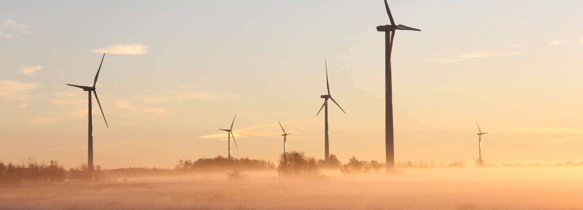Windräder auf Feld in der Morgendämmerung