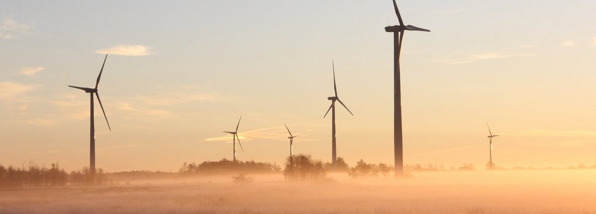 Windräder auf Feld in der Morgendämmerung
