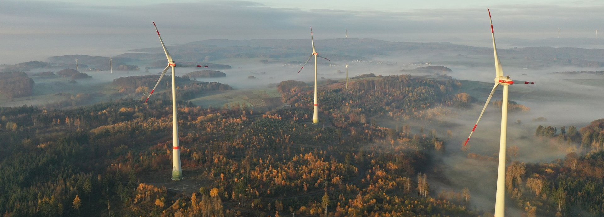 Vogelaufnahme Windräder in einem nebligen Wald