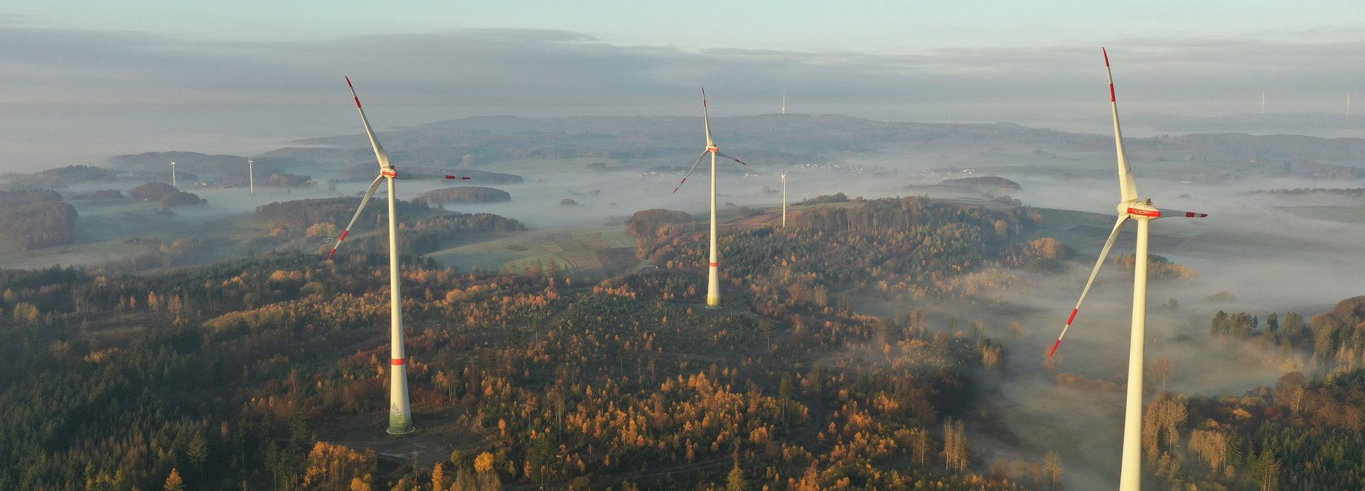 Vogelaufnahme Windräder in einem nebligen Wald