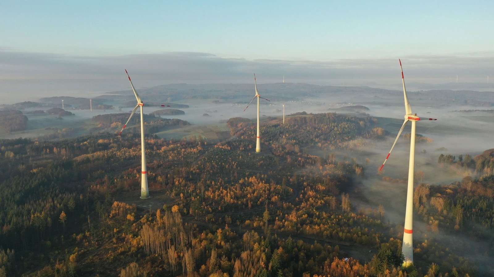 Vogelaufnahme Windräder in einem nebligen Wald