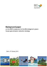 BEE statement on EU long-term decarbonisation strategy PDF