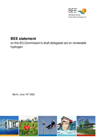 BEE Statement Delegated Act Renewable Hydrogen PDF
