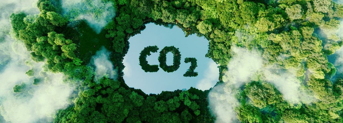 Bildbeschreibung: Wald mit See, auf dem der Begriff CO2 abgebildet ist