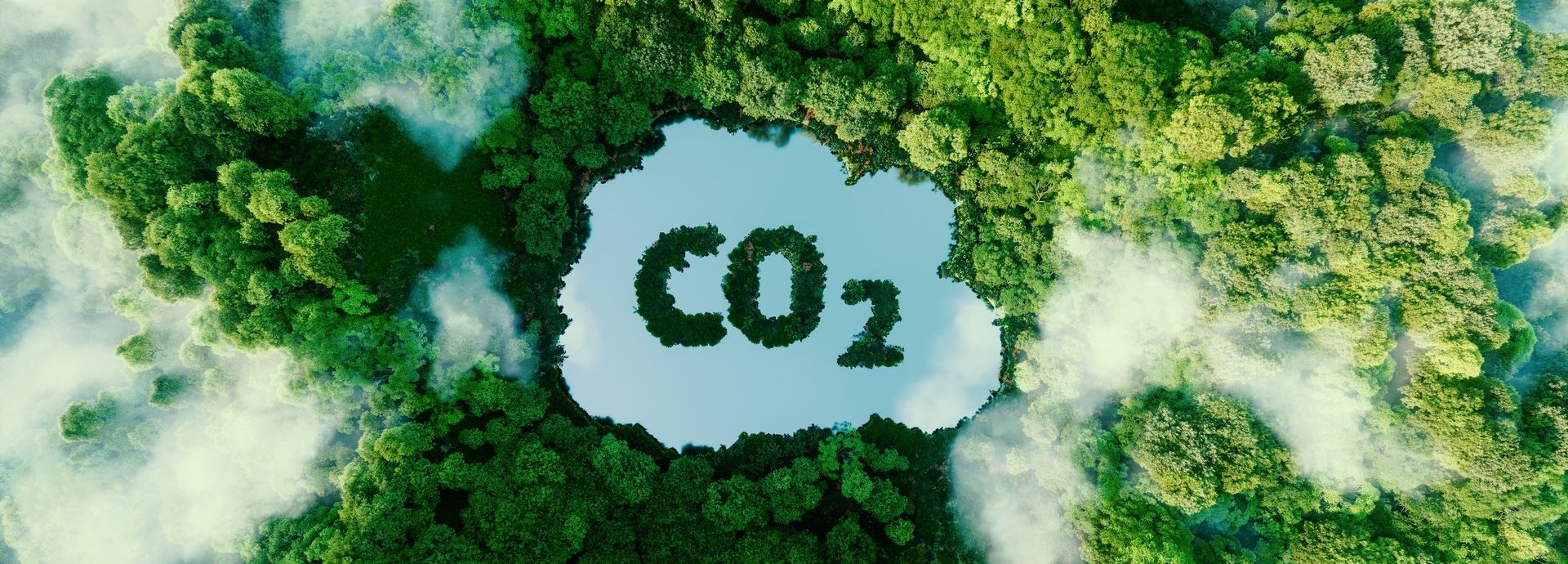 Konzept, das das Problem der Kohlendioxidemissionen und ihre Auswirkungen auf die Natur in Form eines Teichs in Form eines Co2-Symbols in einem üppigen Wald darstellt. 3D-Rendering.