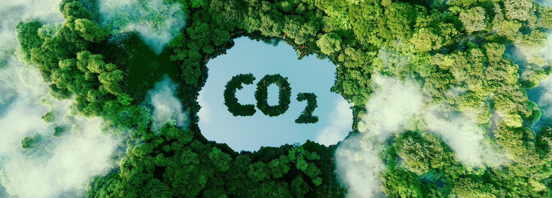 Beschreibung: Wald mit See, auf dem der Begriff CO2 abgebildet ist