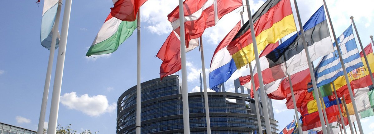 Europäisches Parlamentsgebäude im Hintergrund mit Flaggen der mitgliedsstaaten im Vordergrund vor blauem Himmel