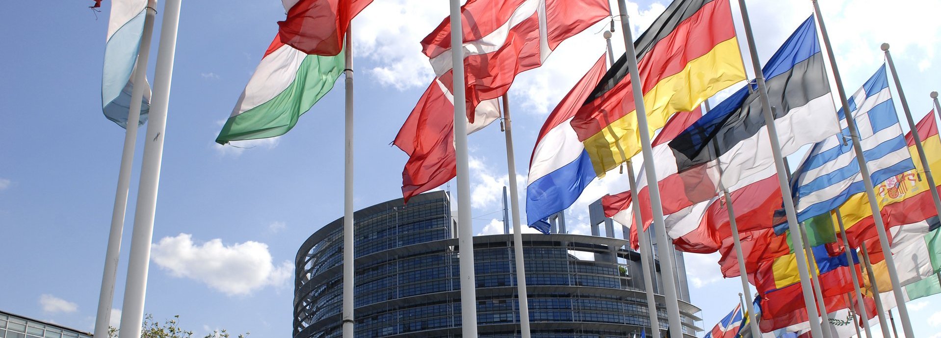 Europäisches Parlamentsgebäude im Hintergrund mit Flaggen der mitgliedsstaaten im Vordergrund vor blauem Himmel