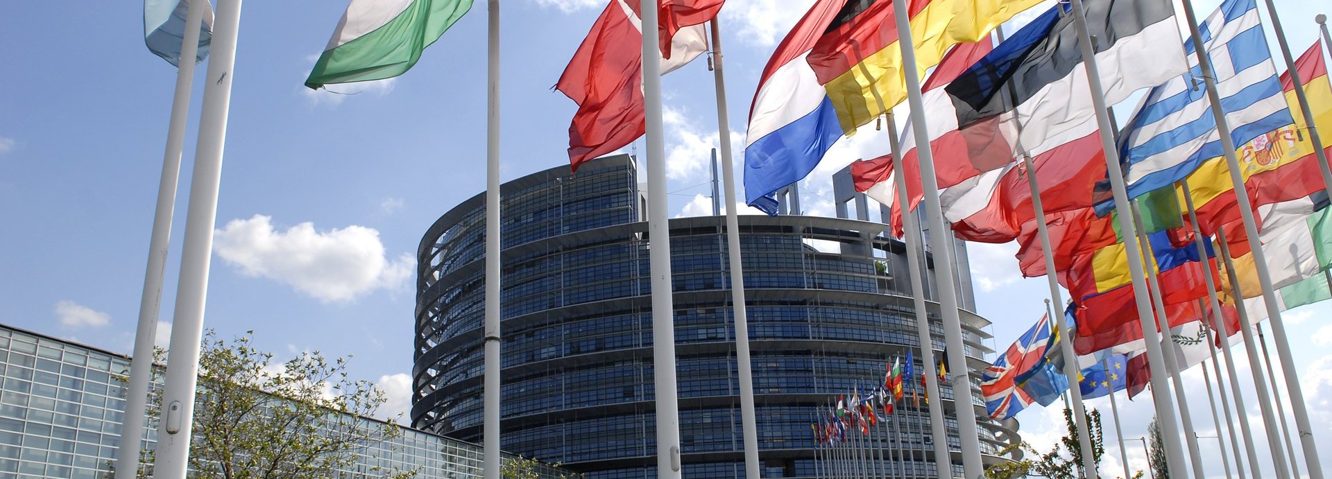 Europäisches Parlamentsgebäude im Hintergrund mit Flaggen der mitgliedsstaaten im Vordergrund vor blauem Himmel