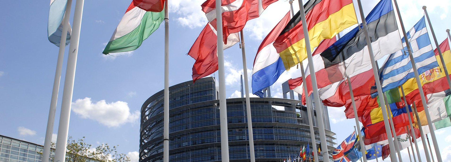 Europäisches Parlamentsgebäude im Hintergrund mit Flaggen der mitgliedsstaaten im Vordergrund vor blauem Himmel