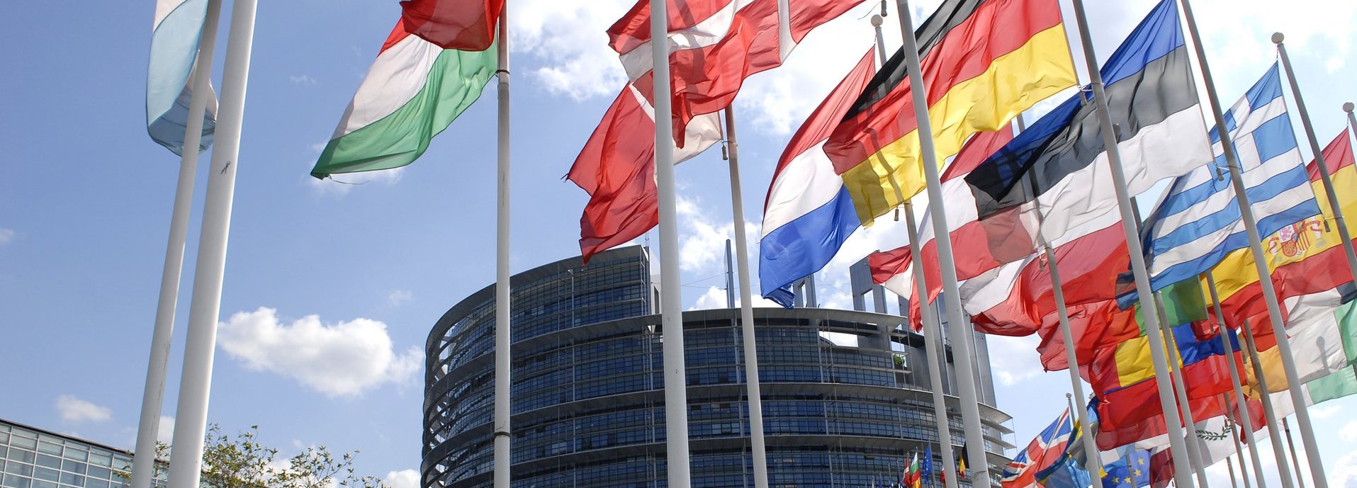 Europäisches Parlamentsgebäude im Hintergrund mit Flaggen der mitgliedsstaaten im Vordergrund vor blauem Himmel