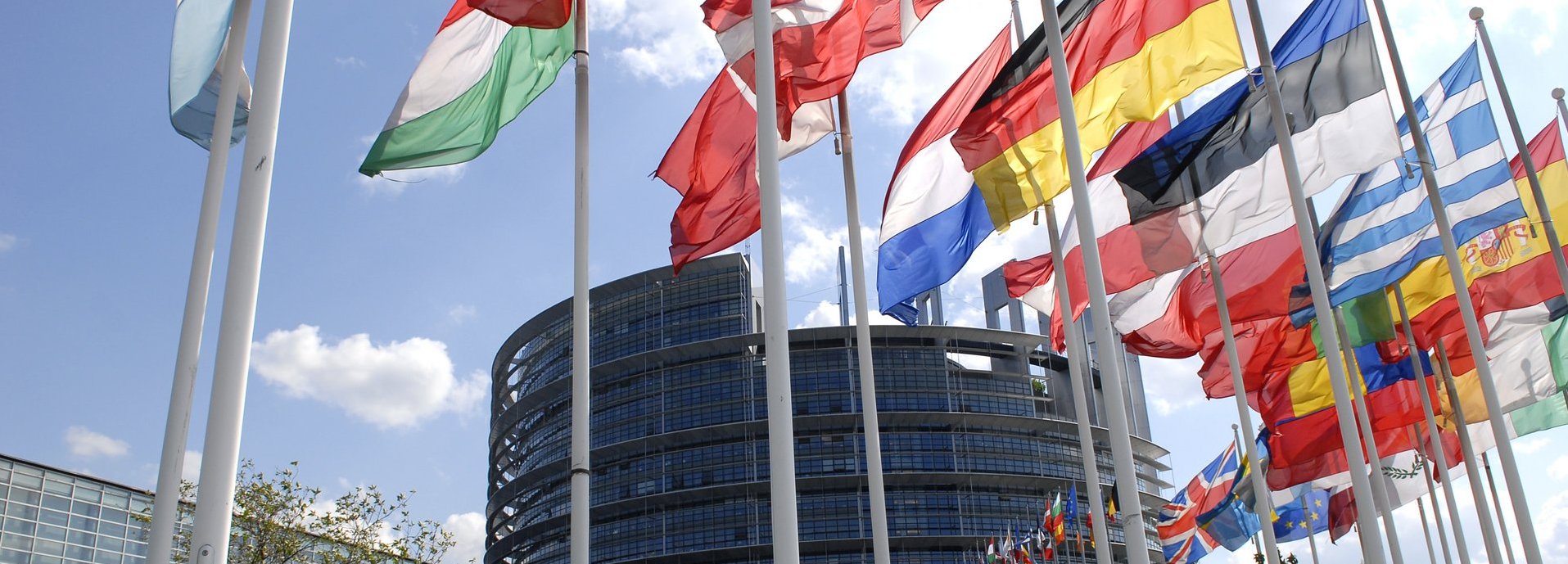 Europäisches Parlamentsgebäude im Hintergrund mit Flaggen der mitgliedsstaaten im Vordergrund vor blauem Himmel