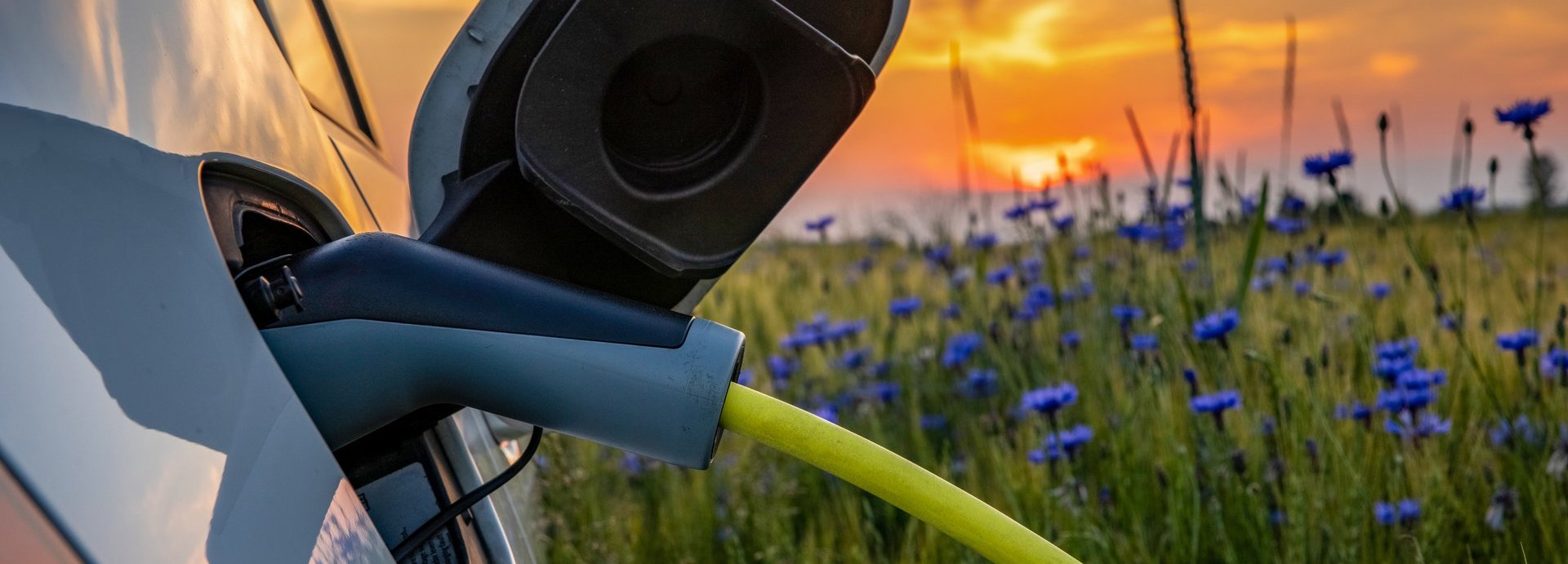 Elektroauto wird geladen auf einer grünen Wiese mit dunkelblauen Blumen und Sonnenuntergang