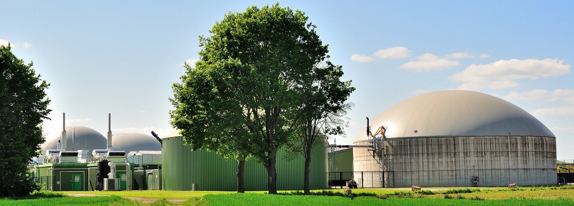 Bäume und Wiese vor weißer Biogasanlage und blauem Himmel