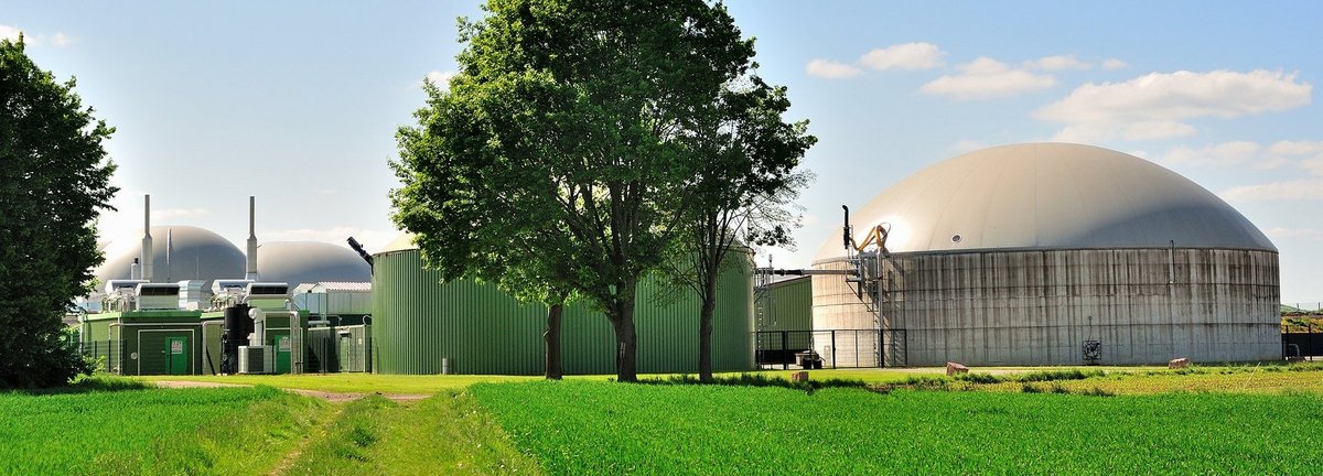 Bäume und Wiese vor weißer Biogasanlage und blauem Himmel