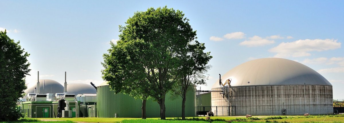 Bäume und Wiese vor weißer Biogasanlage und blauem Himmel