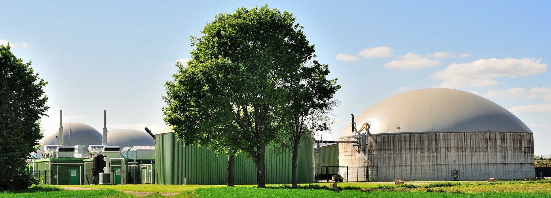 Bäume und Wiese vor weißer Biogasanlage und blauem Himmel