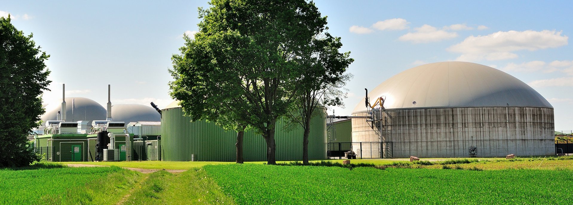 Bäume und Wiese vor weißer Biogasanlage und blauem Himmel
