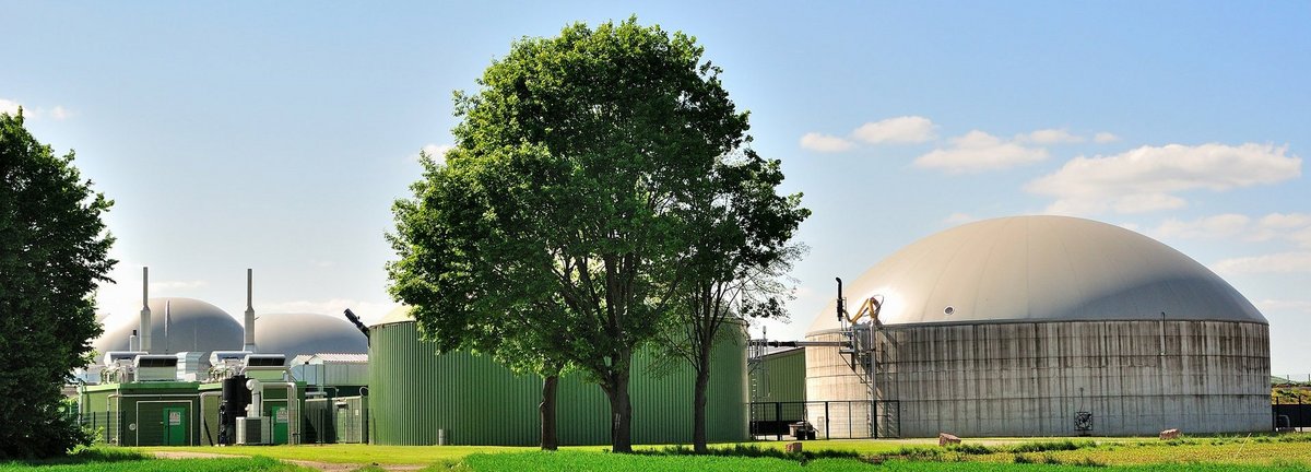 Bäume und Wiese vor weißer Biogasanlage und blauem Himmel