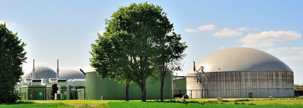 Bäume und Wiese vor weißer Biogasanlage und blauem Himmel