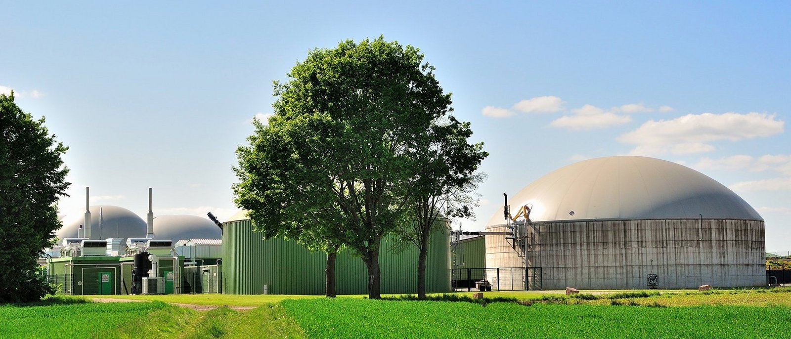 Bäume und Wiese vor weißer Biogasanlage und blauem Himmel