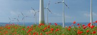 Windpark mit vielen Windrädern auf einer roten Blumenwiese