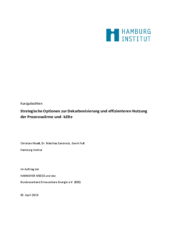 Kurzgutachen Strategische Optionen zur Dekarbonisierung und effizienteren Nutzung der Prozesswärme und -kälte