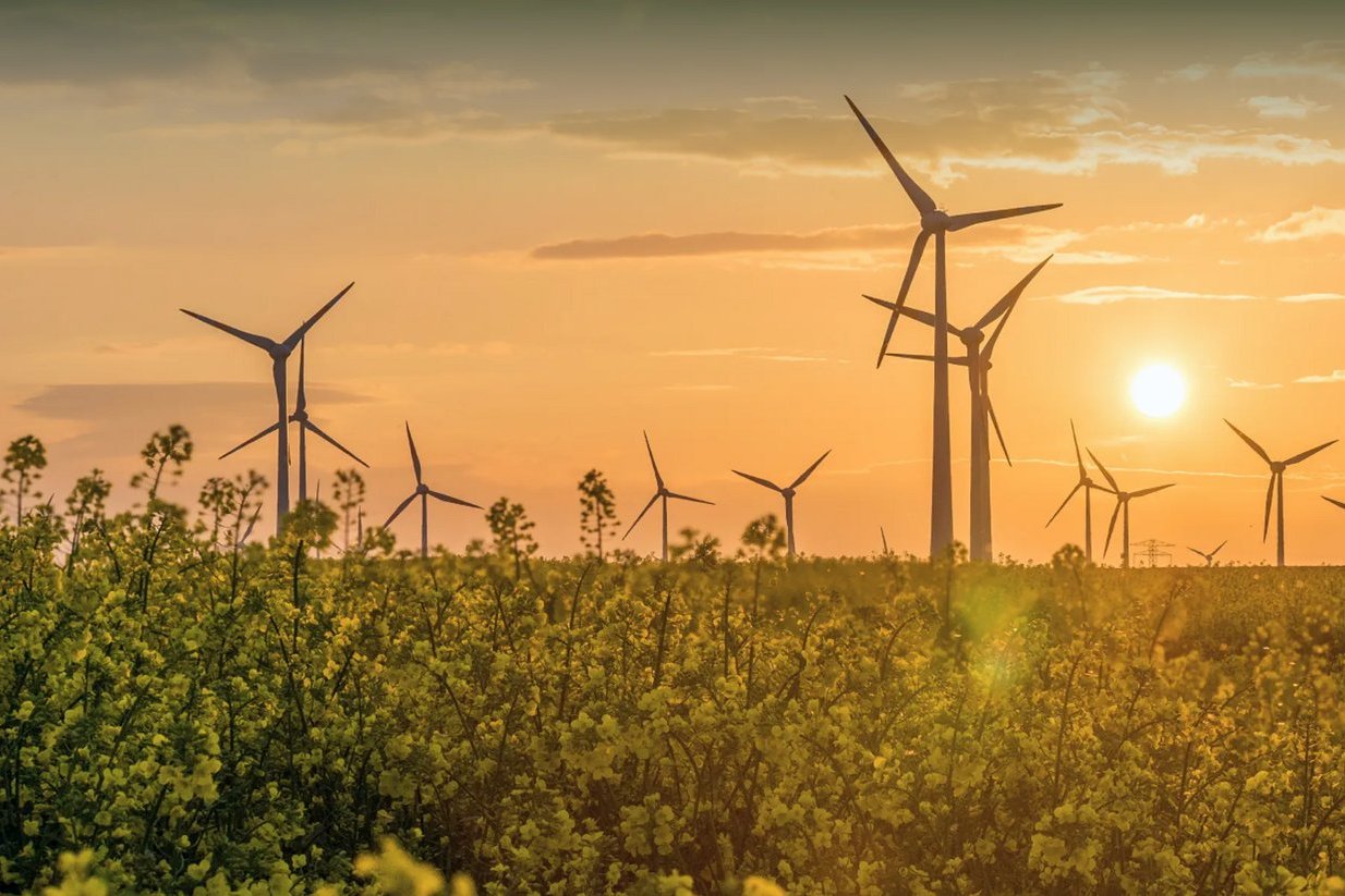 Windräder auf einer Wiese bei tiefstehender Sonne