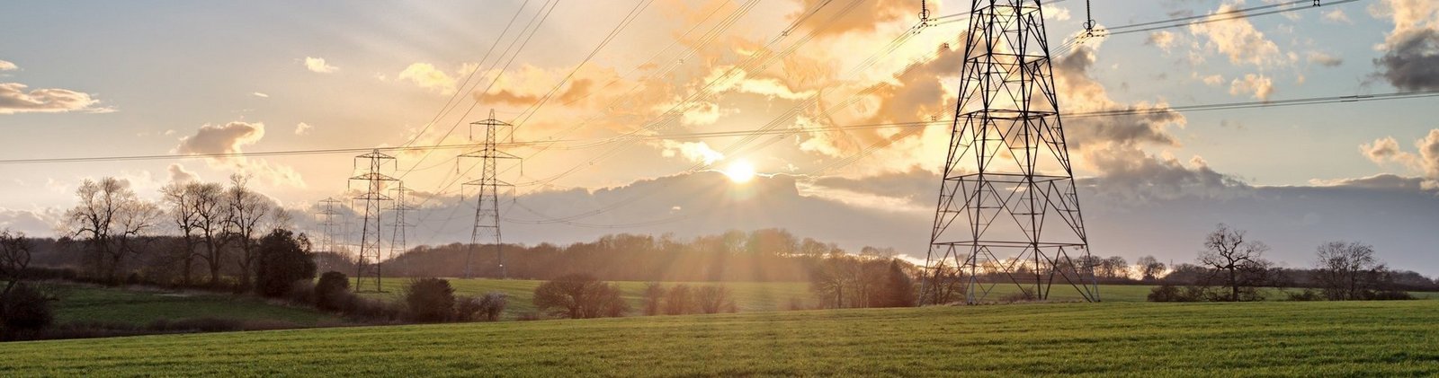 Bildbeschreibung: Stromtrasse auf einem grünen Feld bei Sonnenaufgang