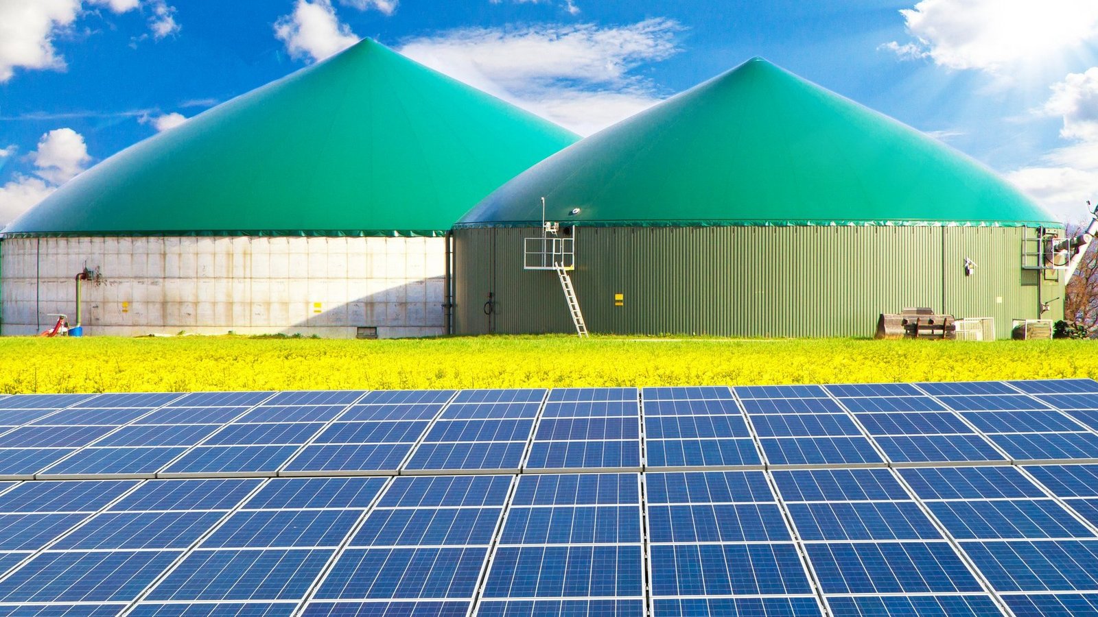 Zwei Biogasanlagen hinter einem Rapsfeld und Solarkollektoren
