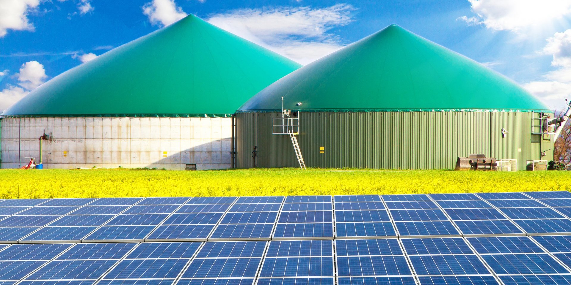 Zwei Biogasanlagen hinter einem Rapsfeld und Solarkollektoren