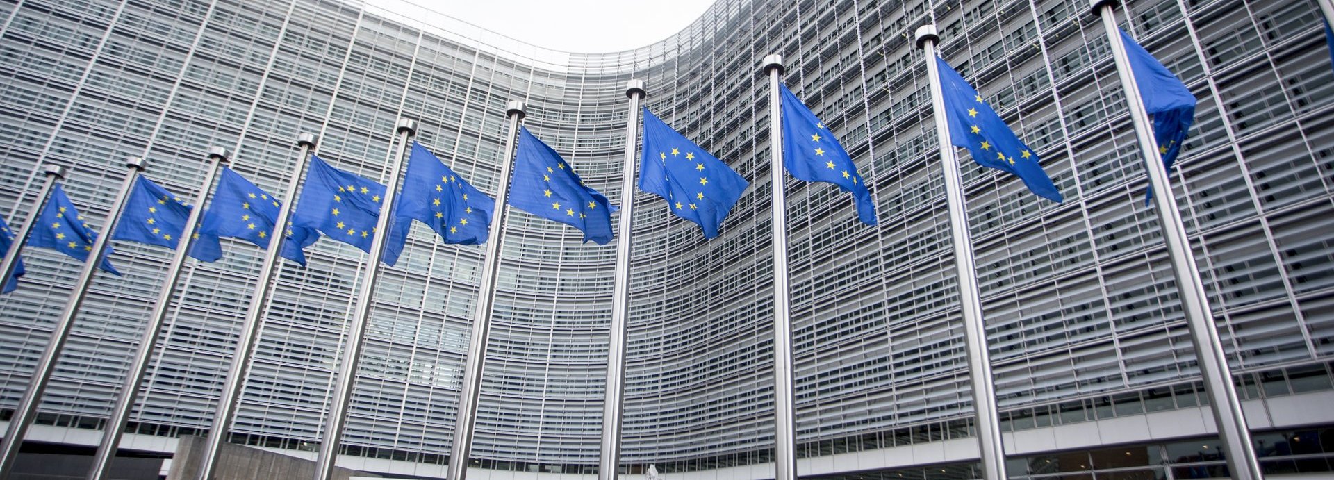 Beschreibung: Europäische Flaggen vor einem Gebäude