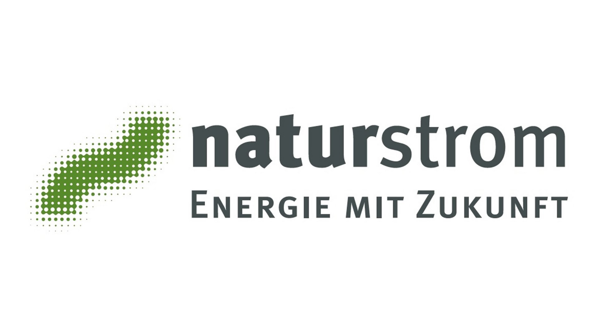 Logo Naturstrom Energie mit Zukunft