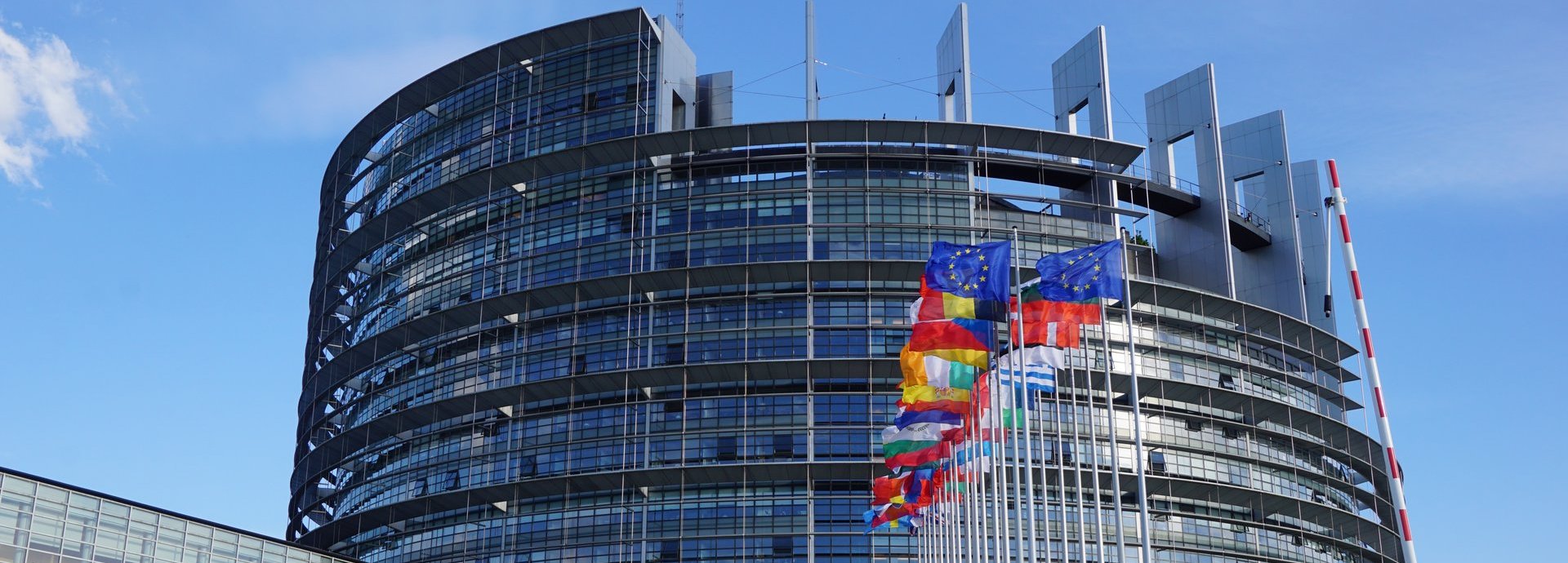 EU Parlamentsgebäude mit blauem Himmel und den Flaggen der europäischen Mitgliedsstaaten