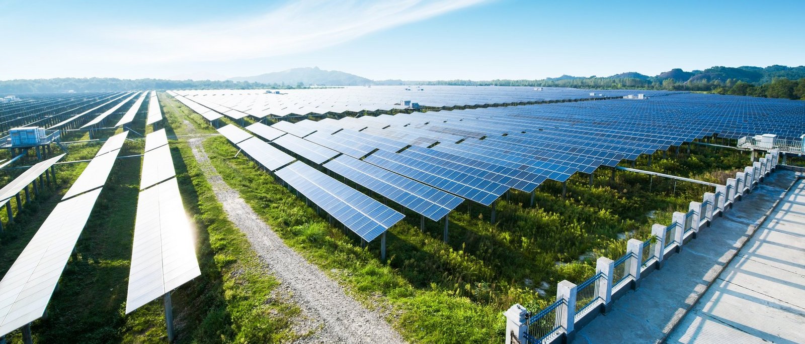 Solarkollektoren strecken sich auf einem Feld unter blauem Himmel bis zum Horizont